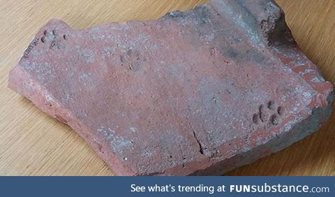 Cat's paw prints found on 2000 year old Roman clay roof tile