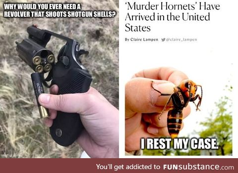 Murder Hornets, you say?