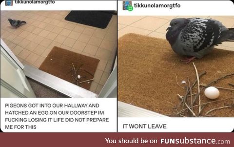 This is the opposite of a problem