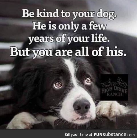 Be kind to your dog