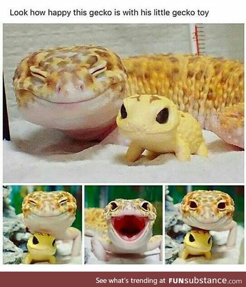 Let's Put A Smile On That Face [Leopard Gecko]