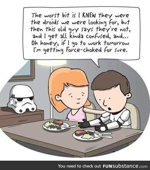 Life of the stormtrooper