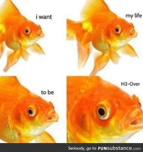 Fishy Fun Day #7: Meme Edition