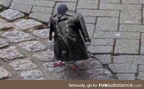 I saw this pigeon wearing this fine leather
