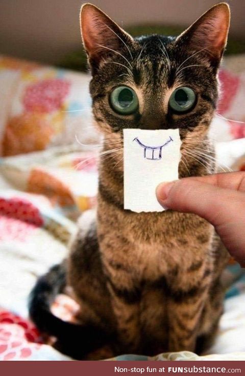 Aww