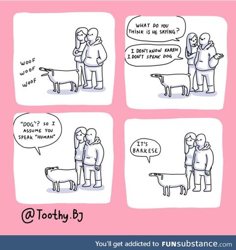 Dog-human relations