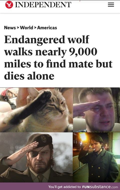 So long partner