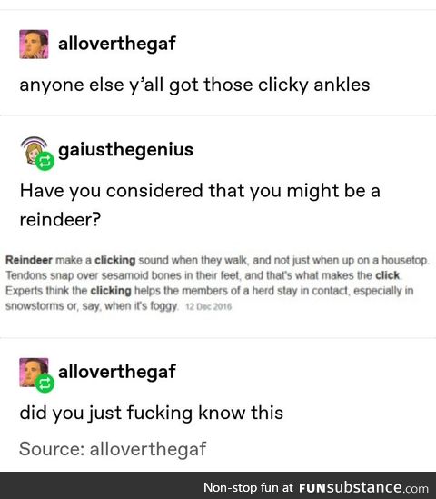 A N K L E  knowledge