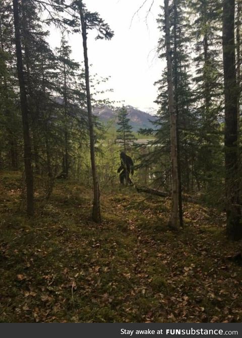 Someone keeps leaving this cutout of Bigfoot around town. This time he was on a trail