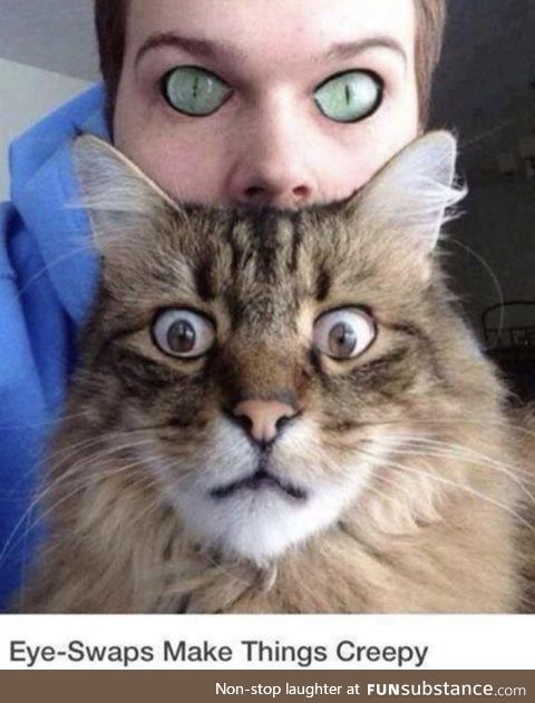If we had cat eyes and they had human eyes... Scary