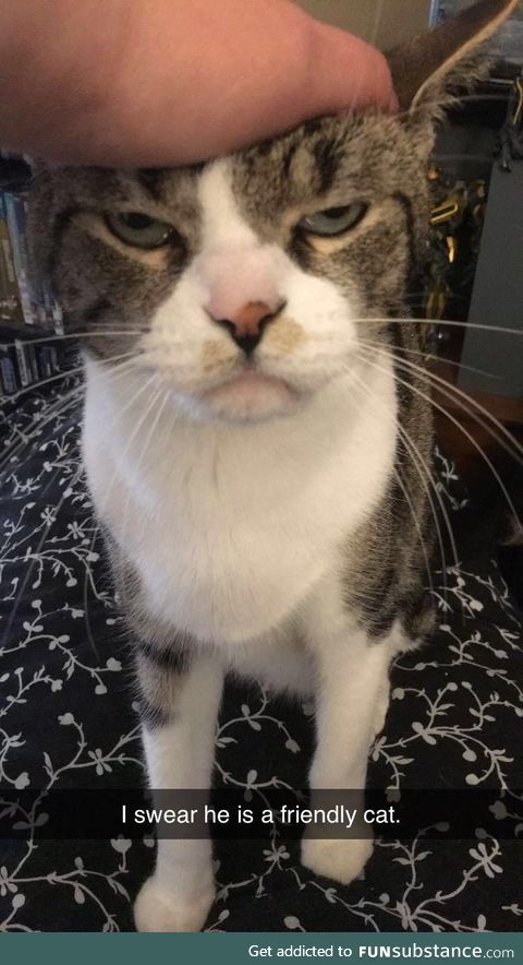 I went to pet him. I guess he just wasn’t in the mood