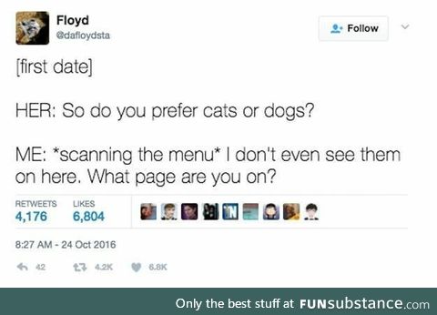 Cats or dogs