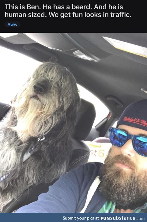 ... And he has a cool dog