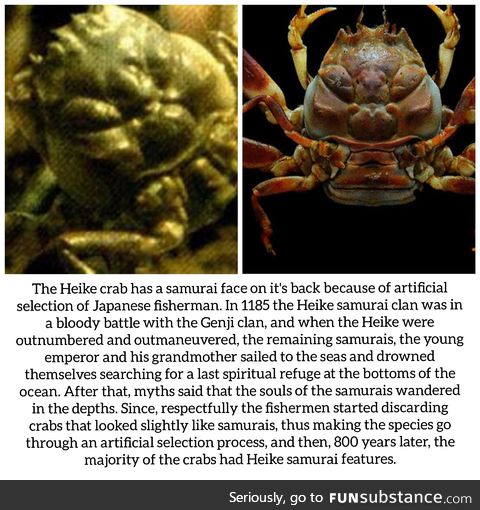 Humans change the world