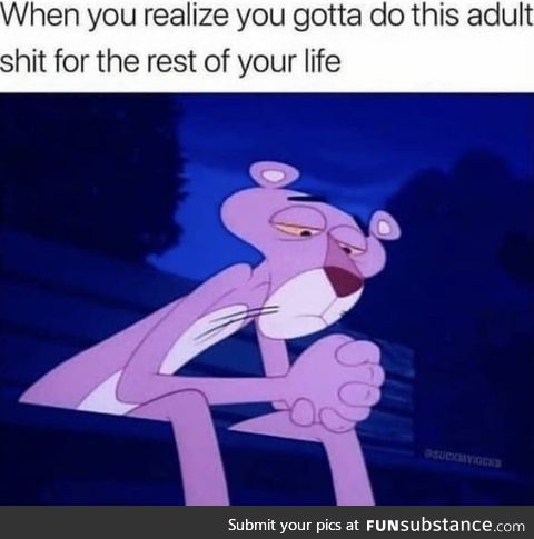 Describe your life