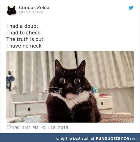 I have no neck and I must meme