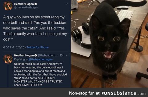 Are you the lesbian whom saves the cats?