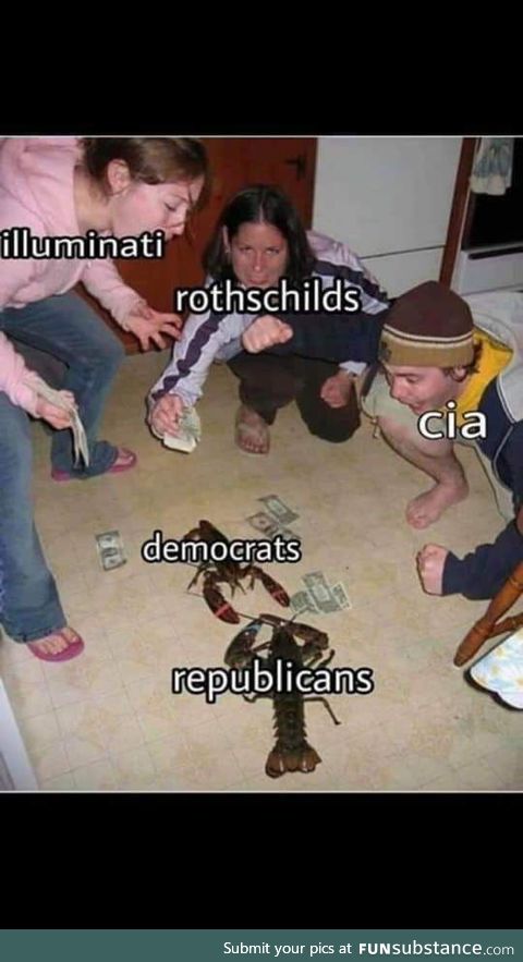 Tinfoil hat