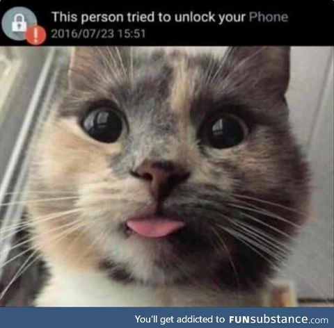 This Person Tried To Unlock Your Phone