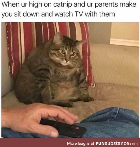 Happens every time