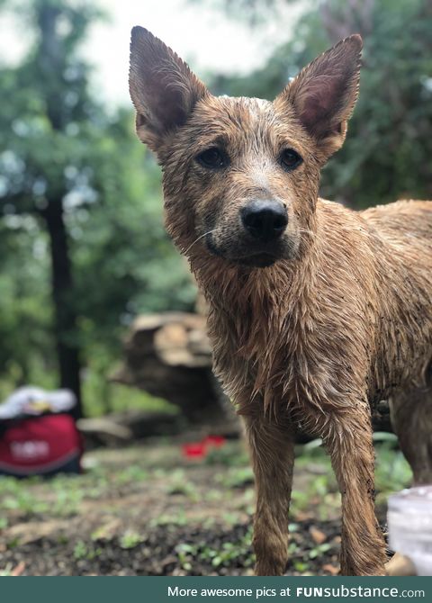 Took the pup to the lake, it was his most favorite day ever