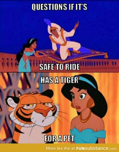 Disney Princess Logic