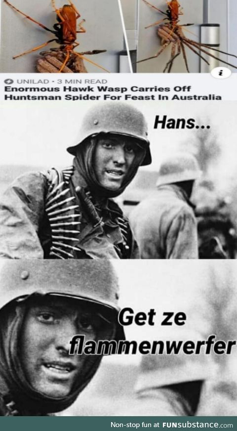 Right now Hans