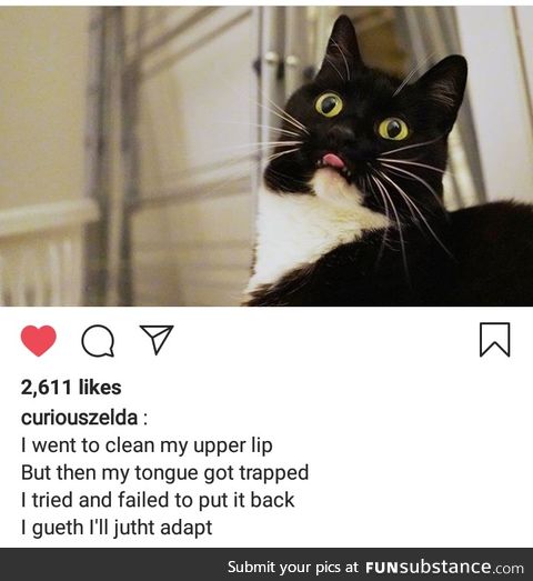 Forever mlemy