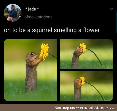 Remember to Smell a Flower Today