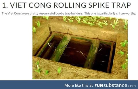 Bro dont fall into the agonizing viet cong death trap bro thats kinda cringe bro