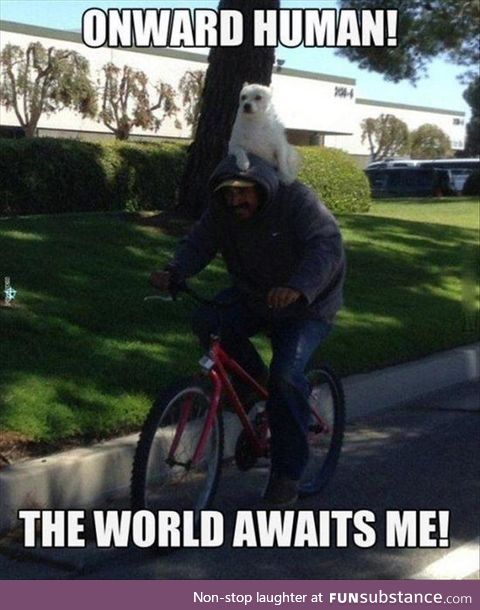 Onward Human - To Glory