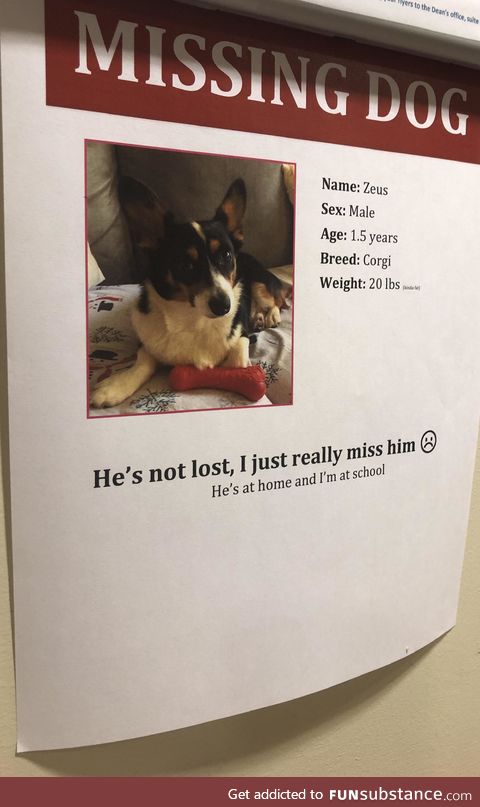 Saw this gem during finals week
