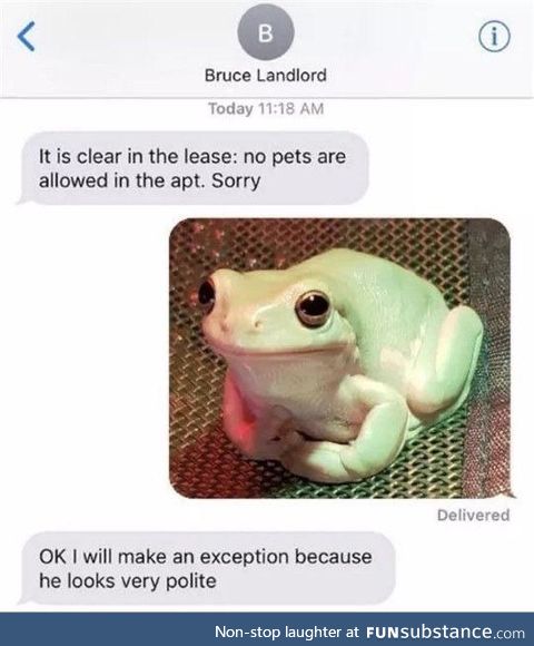 Froggo Fun #199 - Polite Boi