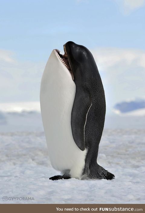 A pengwhale