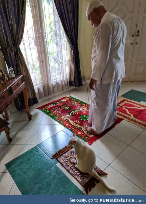 Cat gets her own little rug so she can join her family's prayer time