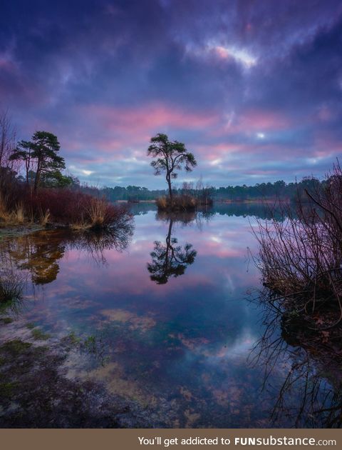 Sunrise at a pond, the Netherlands