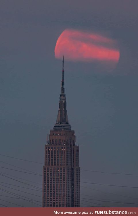 The pink Supermoon last nightover the Empire State Building during golden hour