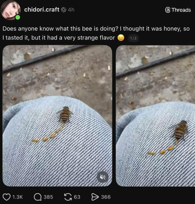 proof that honey doesnt come from a butt