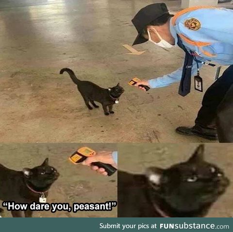 Peasant