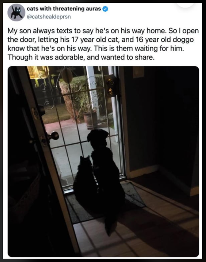 weekly dose of wholesome memes to celebrate spring april 4