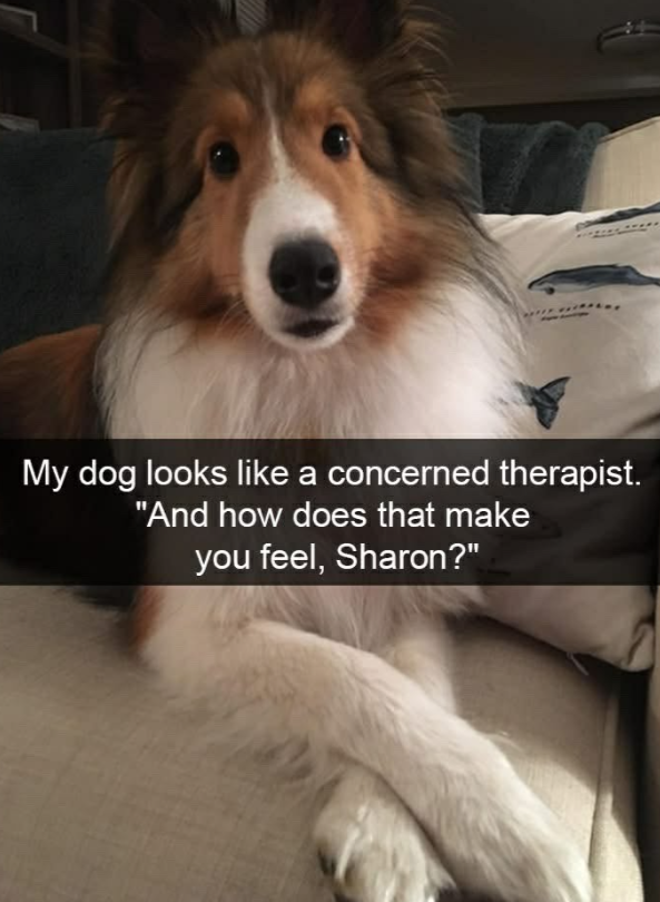 the most sophisticated good boy in the business