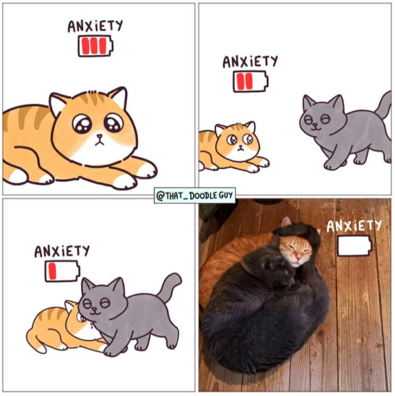 the power of the fluff