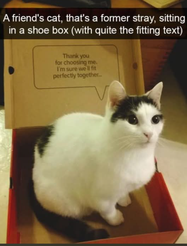 when life gives you boxes