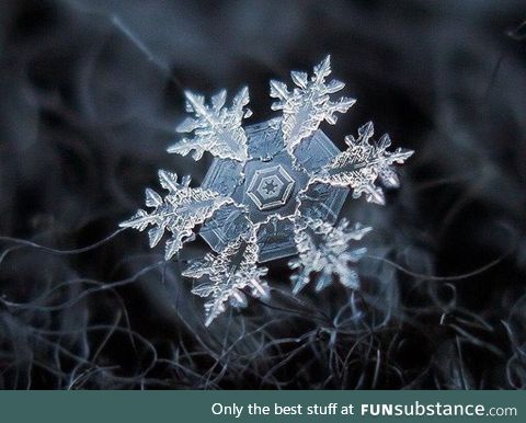 Microscopic view of a snowflake