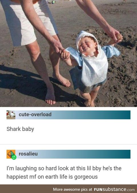 Shark Baby (WholesomeSubstance)