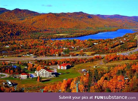 Newfoundland in fall