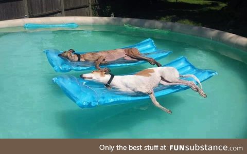 A couple of retired athletes relaxing in the pool