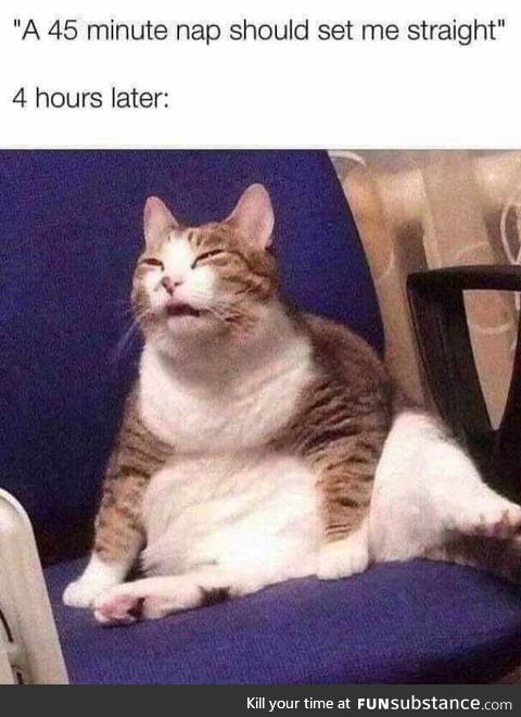 How do naps even work