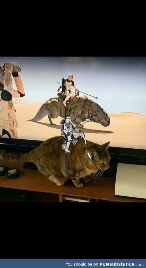 Really into role-play, this one