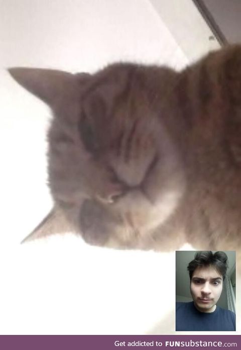 Skype called my father during quarantine, this is what I saw when he picked up